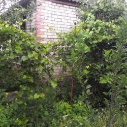 Продам - Дома (Пригород) - Разное