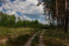 Харьковская область: стоимость земли Харьковская область: стоимость земли