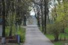 Новую дорогу через парк Горького в Харькове начнут строить весной — директор департамента градостроительства горсовета Новую дорогу через парк Горького в Харькове начнут строить весной — директор департамента градостроительства горсовета