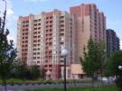 Заходи и живи — бесплатно в выставочном жилье