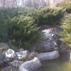 Продам - Дома (Пригород) - Разное Продам - Дома (Пригород) - Разное