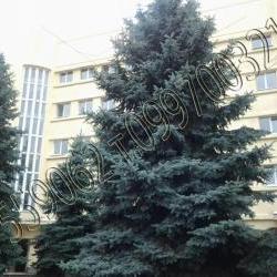 Продам - Квартиры - Центр, Нагорный р-н, С.Горка