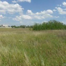 Продам - Дачи, участки - Хол.Гора, Бавария, Залютино