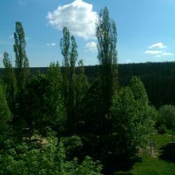 Продам - Квартиры - Алексеевка, П.Поле
