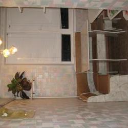 Сдам - Квартиры - Салтовка, Сев.Салтовка