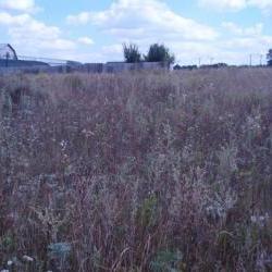 Продам - Разное - Разное