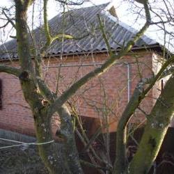 Продам - Дома (Пригород) - Разное